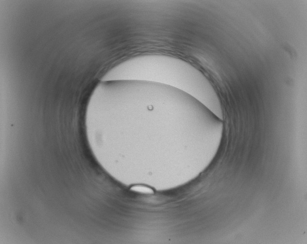 X0000115030221200911231119