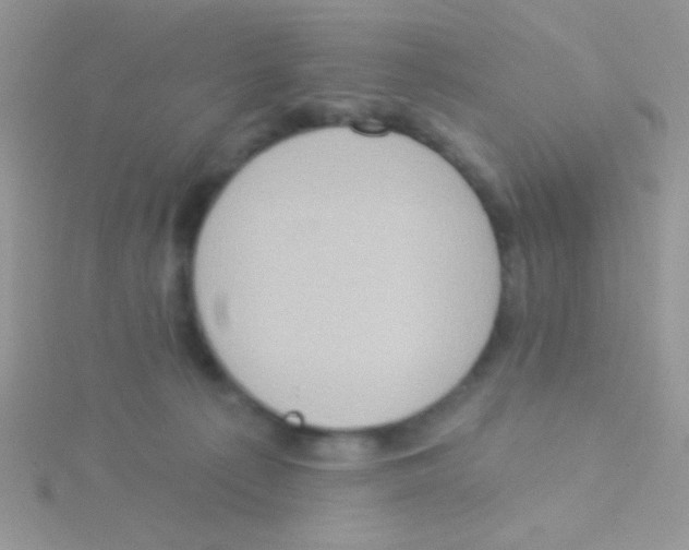 X0000115030225200911231119