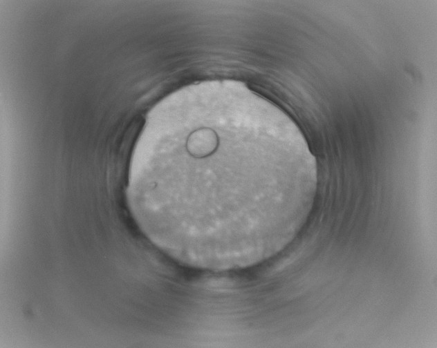 X0000115030228200911231119