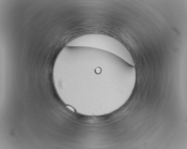 X0000115030229200911231119