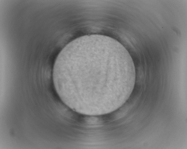 X0000115030230200911231119