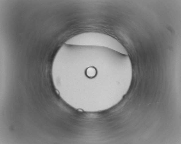 X0000115030233200911231119