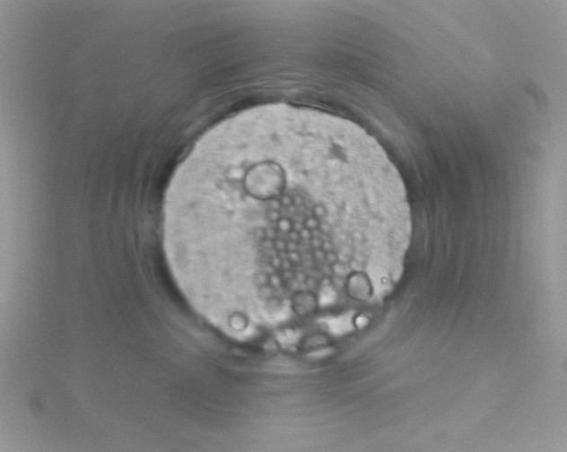 X0000115030236200911231119