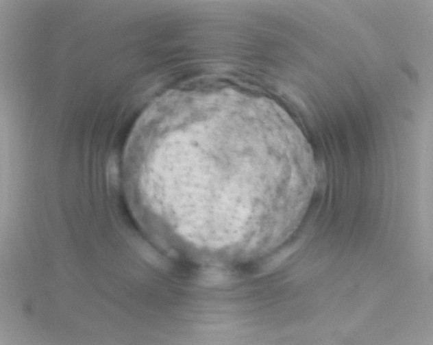 X0000115030238200911231119