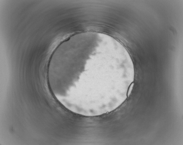 X0000115030241200911231118