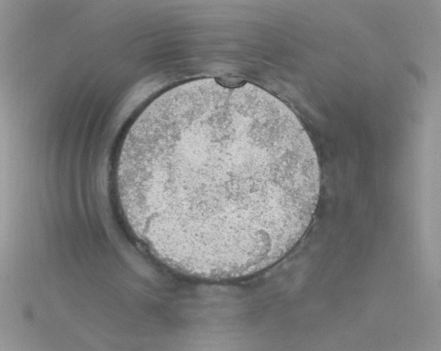 X0000115030242200911231118