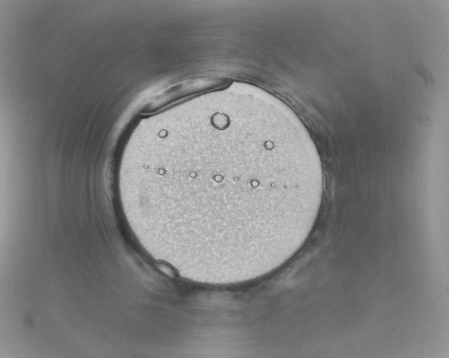 X0000115030244200911231118