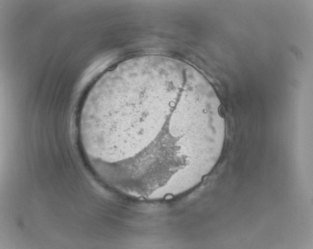 X0000115030245200911231118