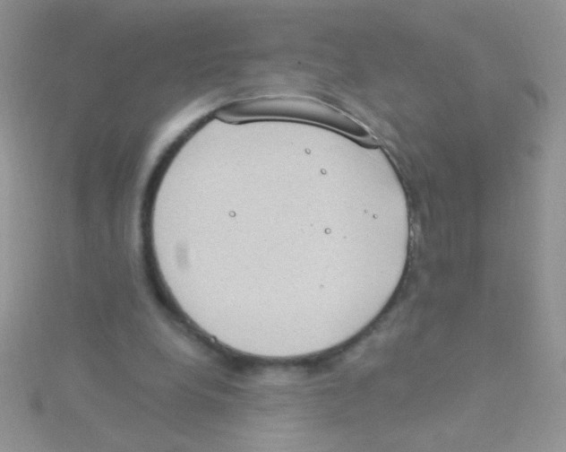 X0000115030248200911231118