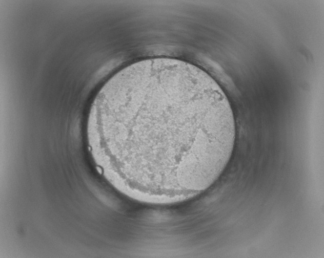 X0000115030250200911231118