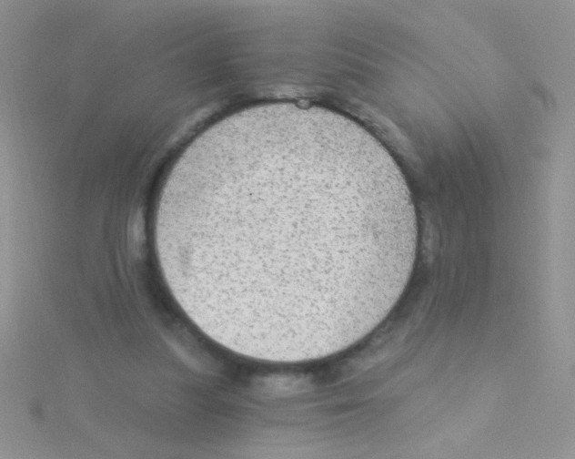 X0000115030251200911231118