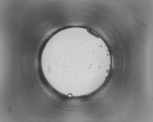 X0000115030252200911231118