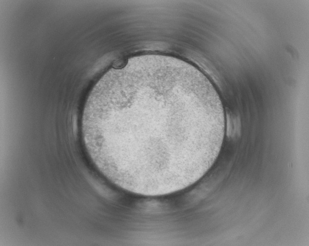 X0000115030253200911231118