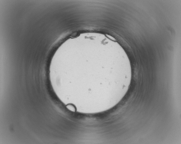 X0000115030256200911231118