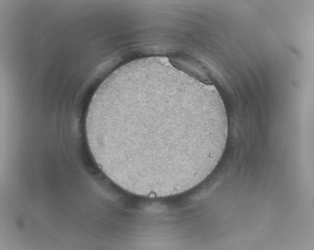 X0000115030258200911231118