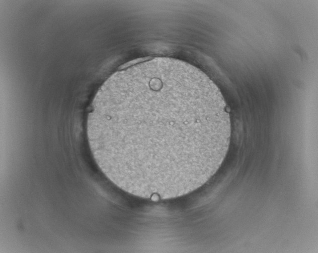 X0000115030259200911231118