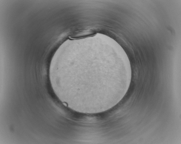 X0000115030260200911231118