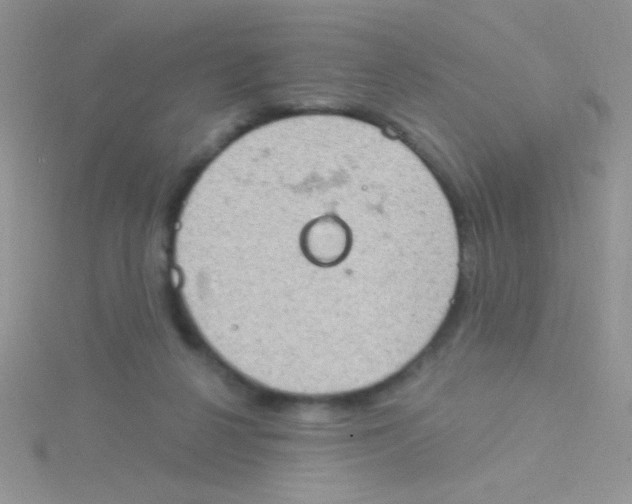 X0000115030264200911231118