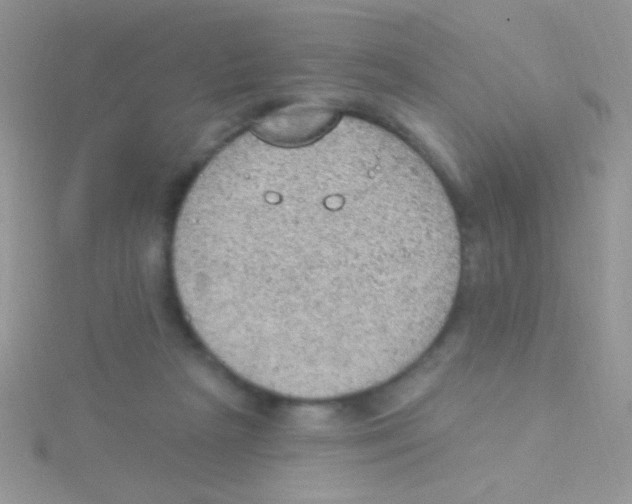 X0000115030265200911231118