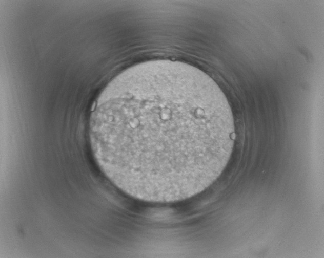 X0000115030266200911231118