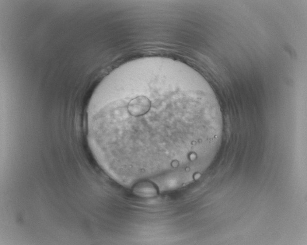 X0000115030267200911231118