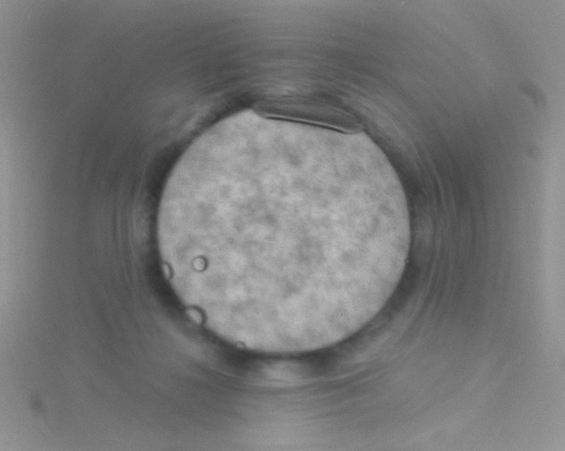 X0000115030268200911231118