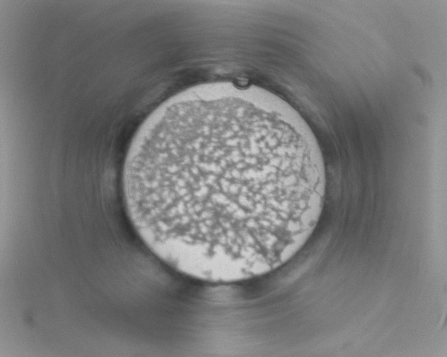 X0000115030269200911231118