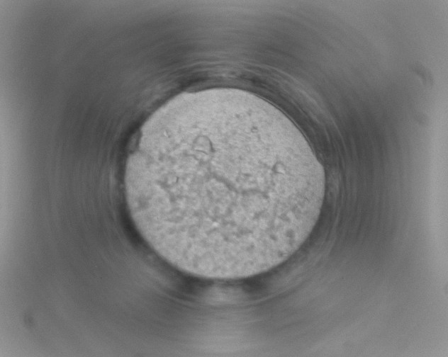 X0000115030270200911231118