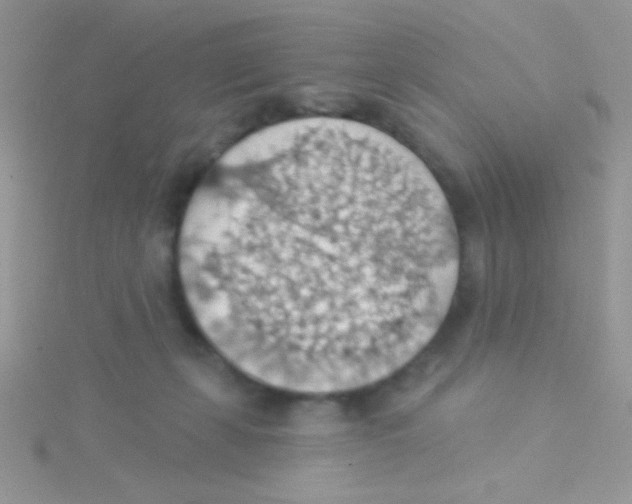 X0000115030271200911231118