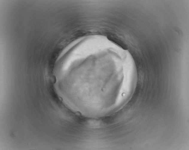 X0000115030272200911231118