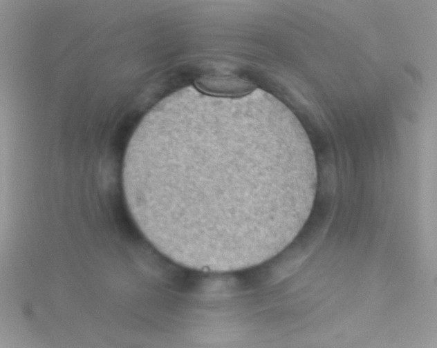 X0000115030274200911231118