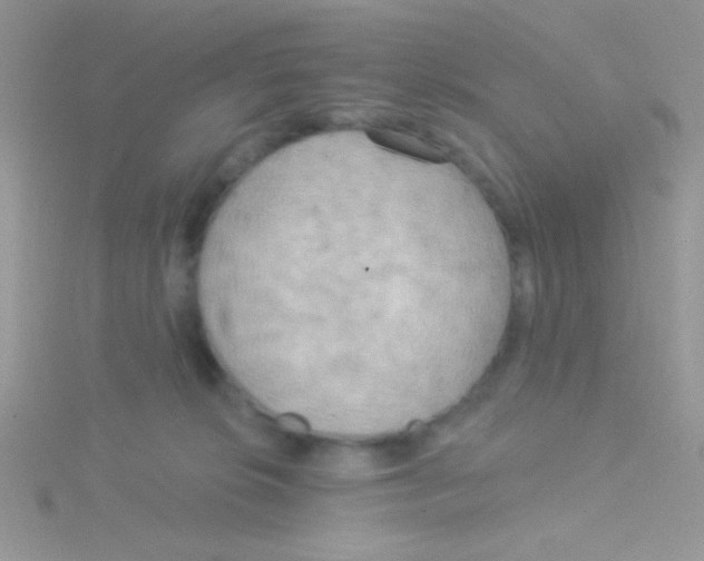 X0000115030276200911231118