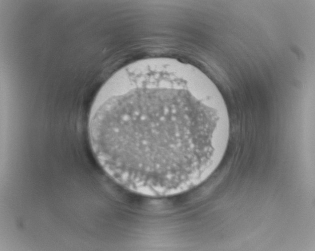 X0000115030277200911231118