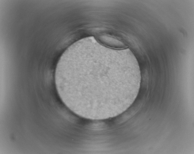 X0000115030278200911231118