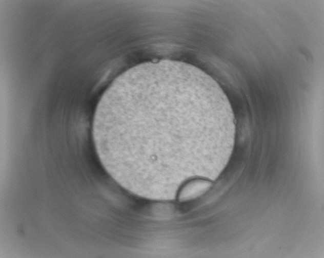 X0000115030279200911231118