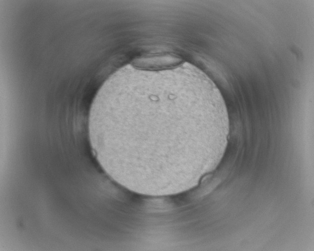 X0000115030281200911231118