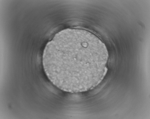 X0000115030282200911231118