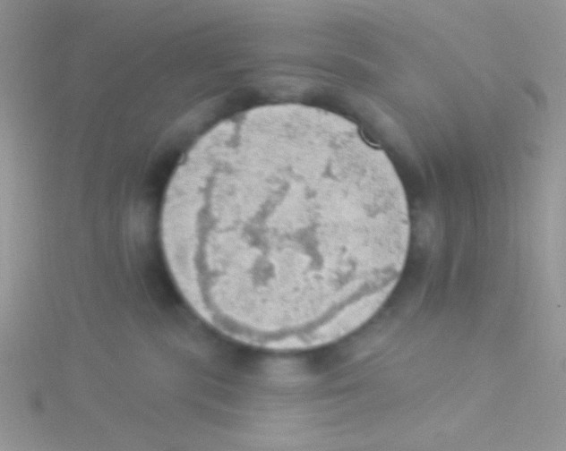 X0000115030283200911231118