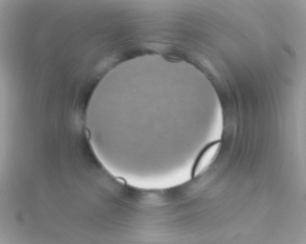 X0000115030285200911231119