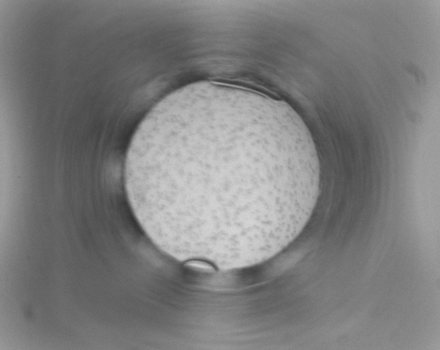 X0000115030288200911231119