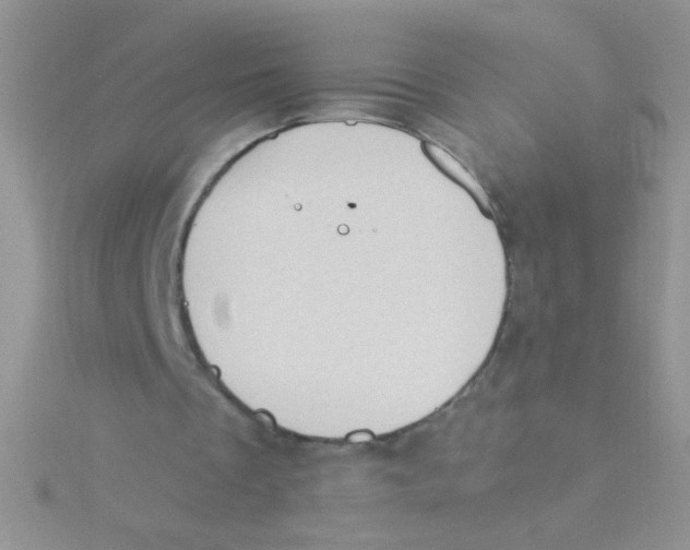 X0000115030289200911231118