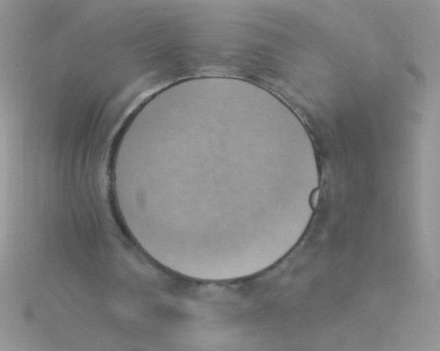 X0000115030290200911231118