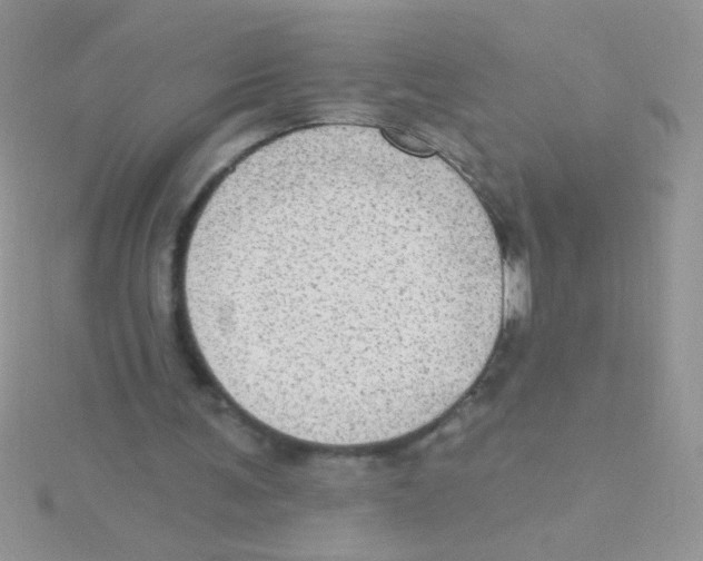 X0000115030291200911231118