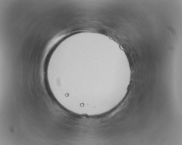 X0000115030294200911231118