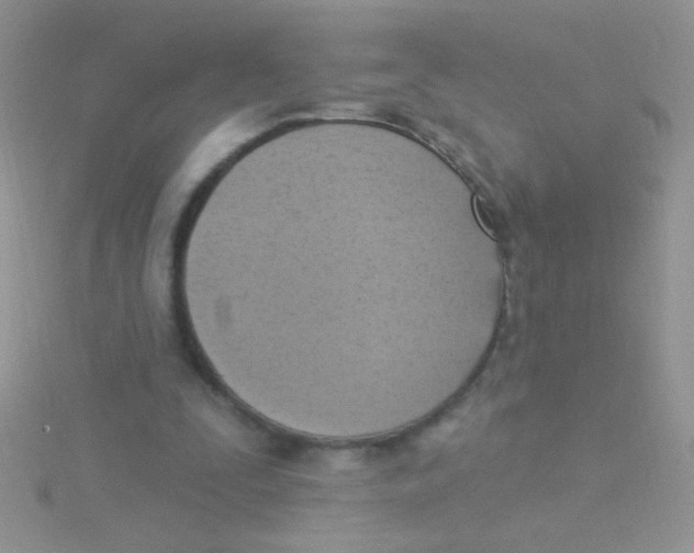 X0000115030295200911231118