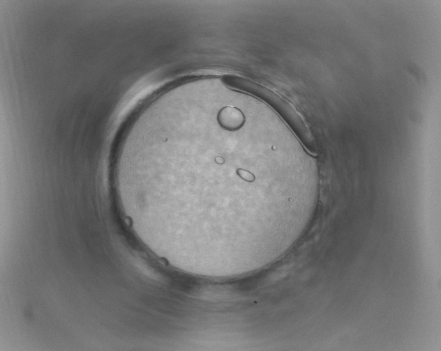 X0000115030296200911231118