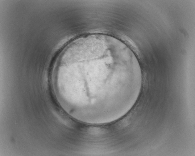 X0000115030298200911231118