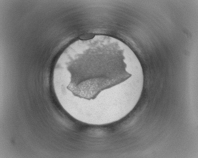 X0000115030299200911231118