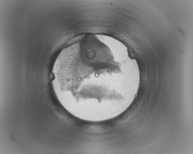 X0000115030303200911231118