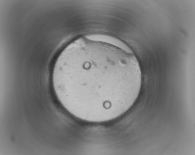 X0000115030304200911231118